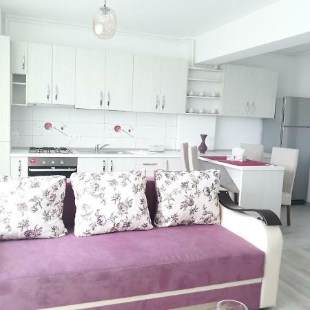 Apartament Coresi Μπρασόβ Εξωτερικό φωτογραφία