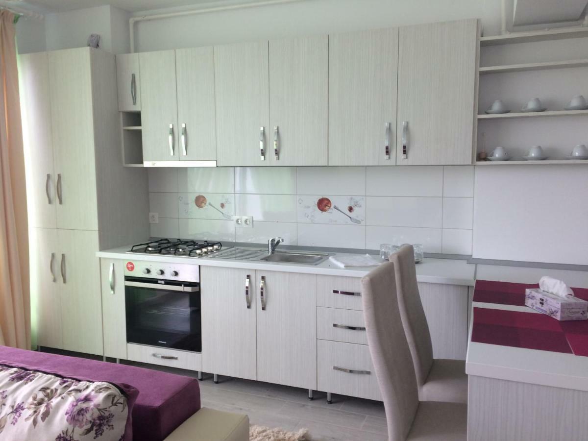 Apartament Coresi Μπρασόβ Εξωτερικό φωτογραφία